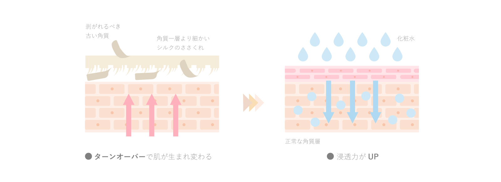 京都,丹後,ボディウォッシュ,ボディタオル,珠の肌パフ,化粧水　シルクで磨いてツルツルお肌に,京都しるく,日本製,EVERY,ジェンダーレス